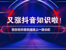 抖音业务下单24小时便宜 24小时自助下单全网最低价ks,ks业务低价自助下单平台网站